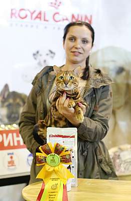 �������� �����  20-21 �������� 2014 ������������ ��� 7-169-169A0850 copy.jpg